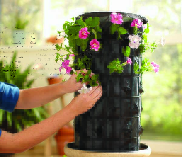 vertical gardening