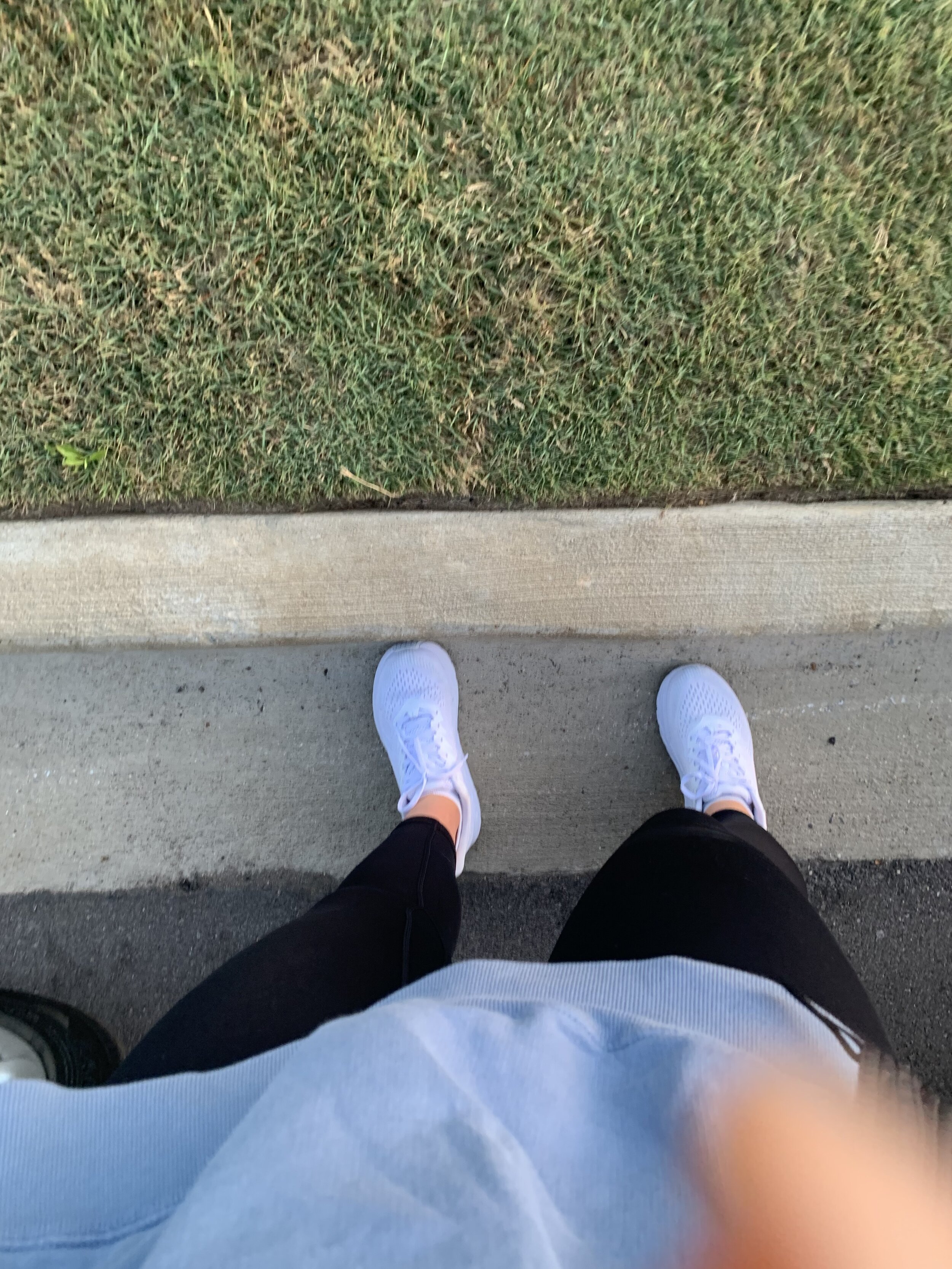 IMG_1330.jpeg