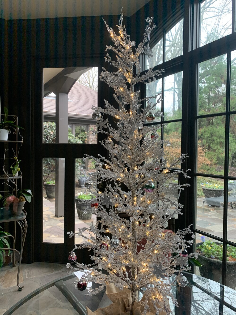 If you didn’t know, I’m Jewish, which means that I’ve never had a Christmas tree. Also, if you didn’t know, I’m living with my grandfather currently. That being said, we were in the most festive of moods and decided that a little winter ice tree couldn’t hurt. My grandfather’s friend actually gifted it to us and I’ve been loving sitting in the sun room with the lit tree. Festive vibes. Happy vibes.