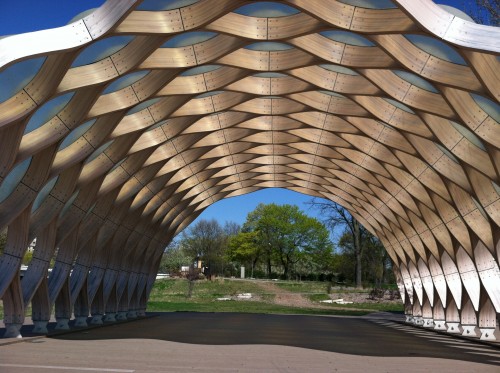 chicago zoo for teens