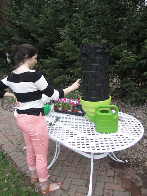 Building a flower tower