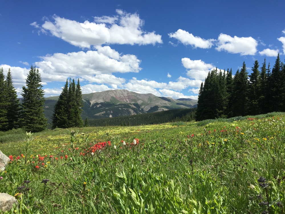 Breckenridge 2015