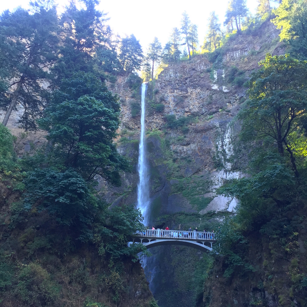 best family hikes