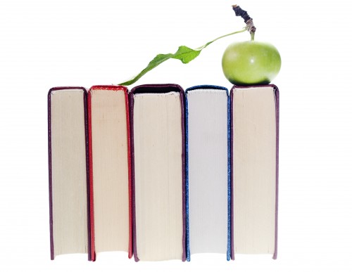 online homework help tutor