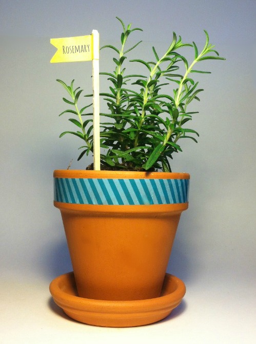 home depot pots