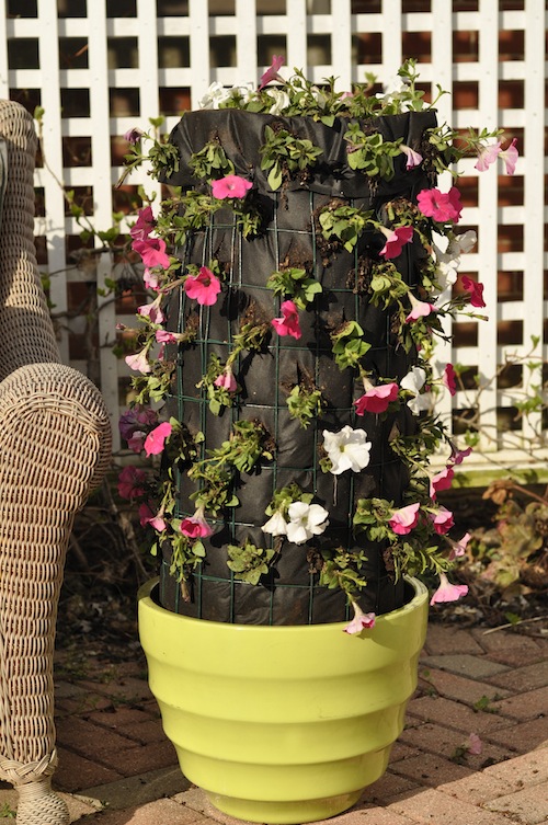 flower tower