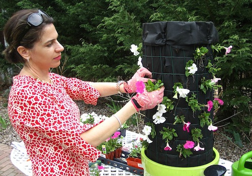 Flower Tower Kim